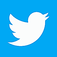 shared twitter
